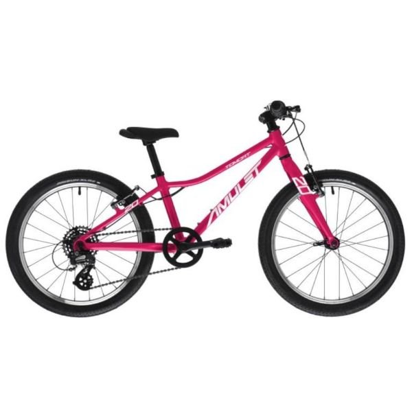 Velosipēds Tomcat 20 raspberry/silver