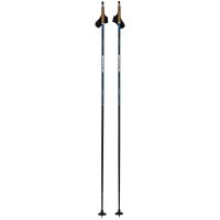 Nūjas Swix Dynamic D2