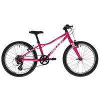 Velosipēds Tomcat 20 raspberry/silver